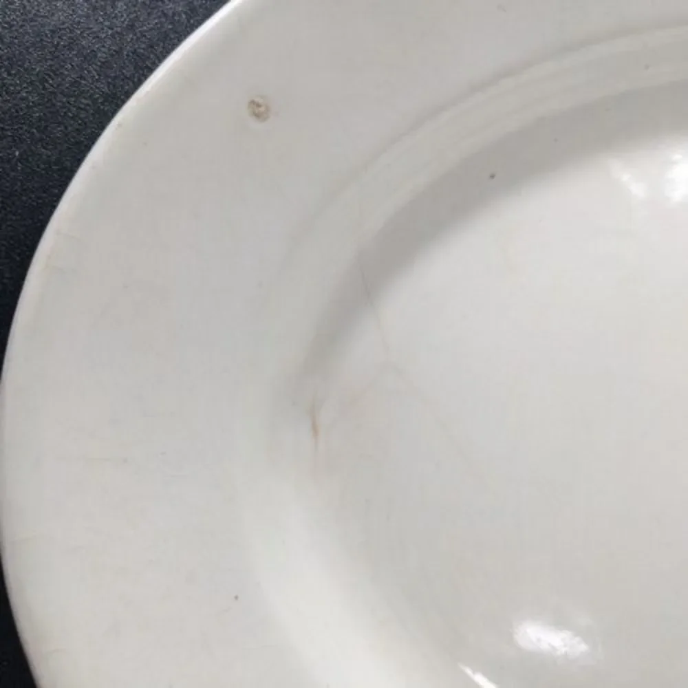 Antique Powell & Bishop‎ English Ironstone China Serving Platter 10x14